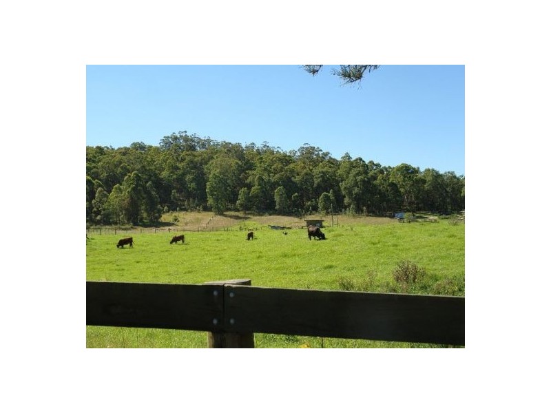 1126 Dooralong Road, Jilliby NSW 2259