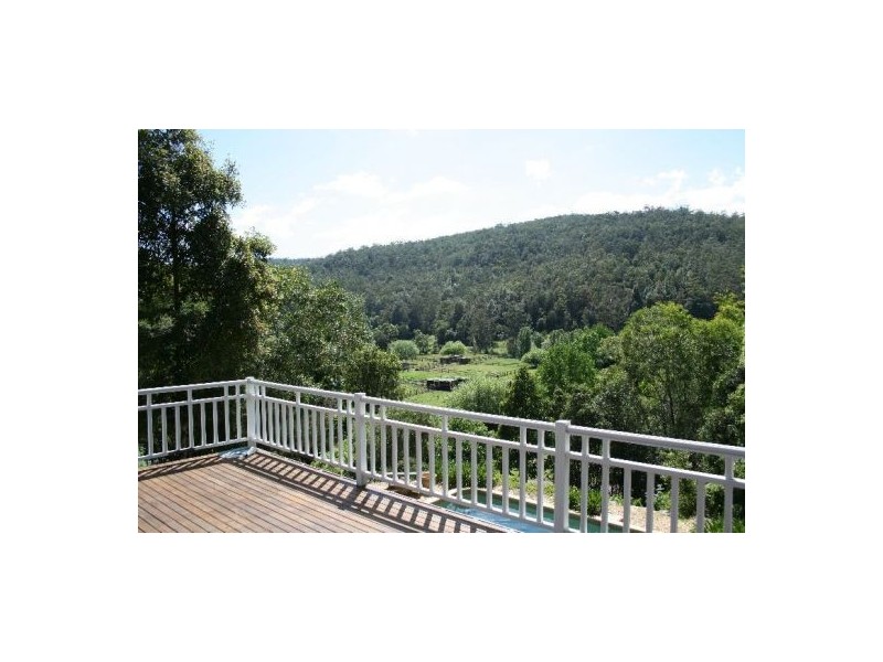 318 Brush Creek Road, Cedar Brush Creek NSW 2259