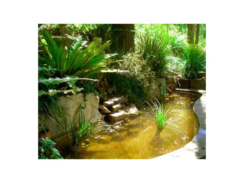 318 Brush Creek Road, Cedar Brush Creek NSW 2259