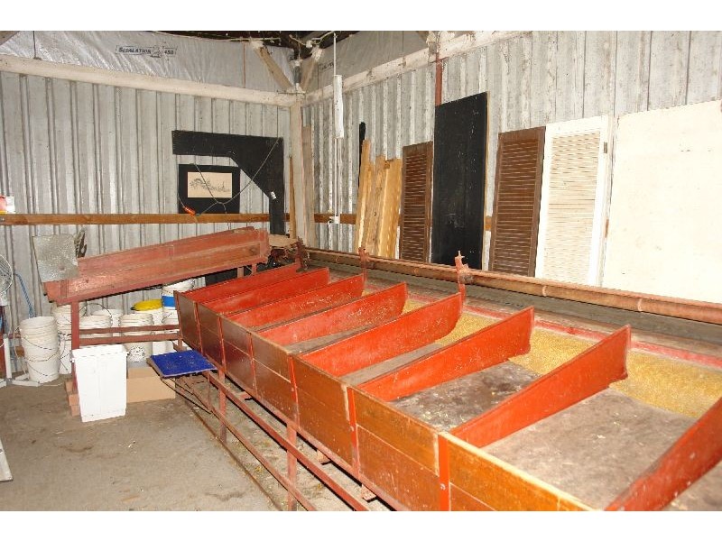 147  Hakone Road, Woongarrah NSW 2259