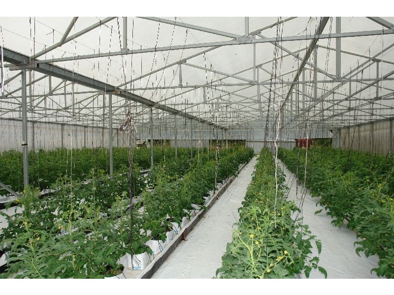 147  Hakone Road, Woongarrah NSW 2259