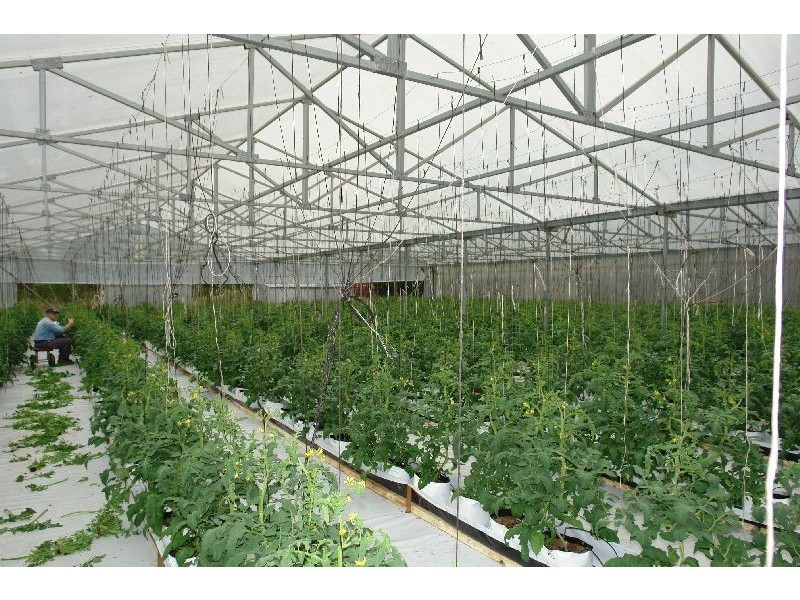 147  Hakone Road, Woongarrah NSW 2259