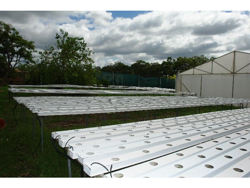 147  Hakone Road, Woongarrah NSW 2259