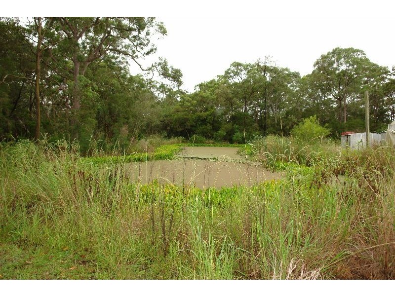 147  Hakone Road, Woongarrah NSW 2259