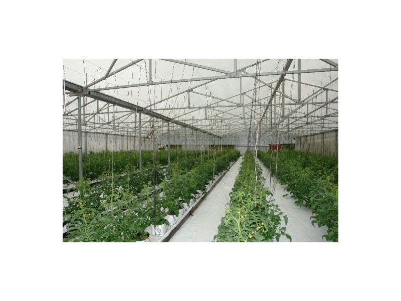 147 Hakone Road, Warnervale NSW 2259