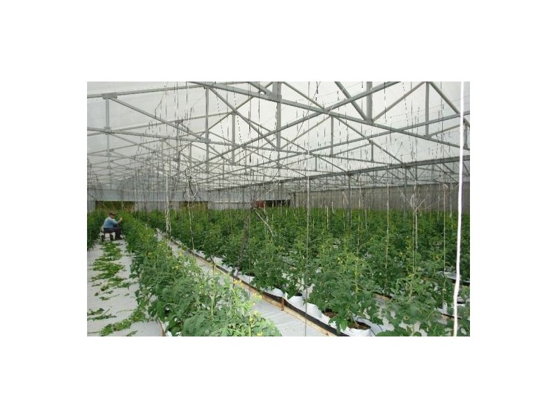 147 Hakone Road, Warnervale NSW 2259