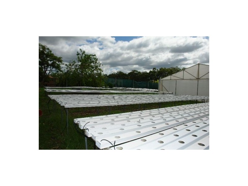 147 Hakone Road, Warnervale NSW 2259