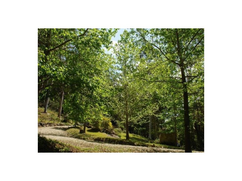 650 Brush Creek Rd, Cedar Brush Creek NSW 2259