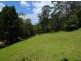 650 Brush Creek Road, Cedar Brush Creek NSW 2259