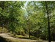 650 Brush Creek Road, Cedar Brush Creek NSW 2259