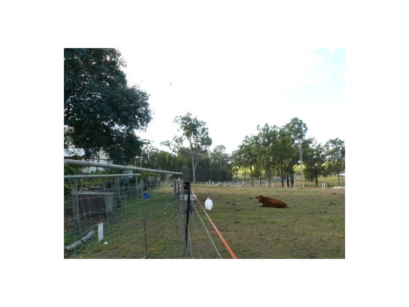 36 Holloway Drive, Jilliby NSW 2259