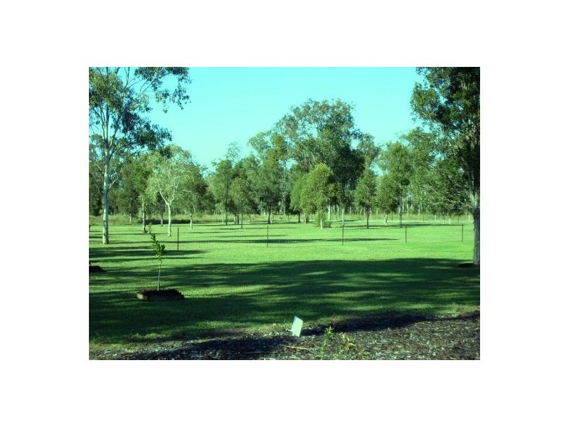 36 Holloway Drive, Jilliby NSW 2259