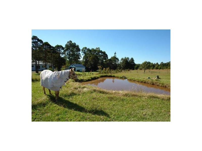 36 Holloway Drive, Jilliby NSW 2259