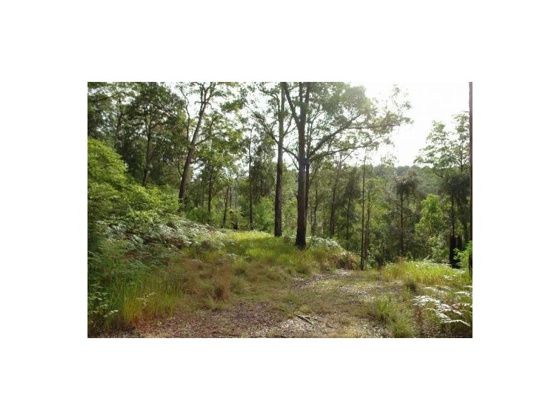 32 Priests Ridge Road, Cedar Brush Creek NSW 2259