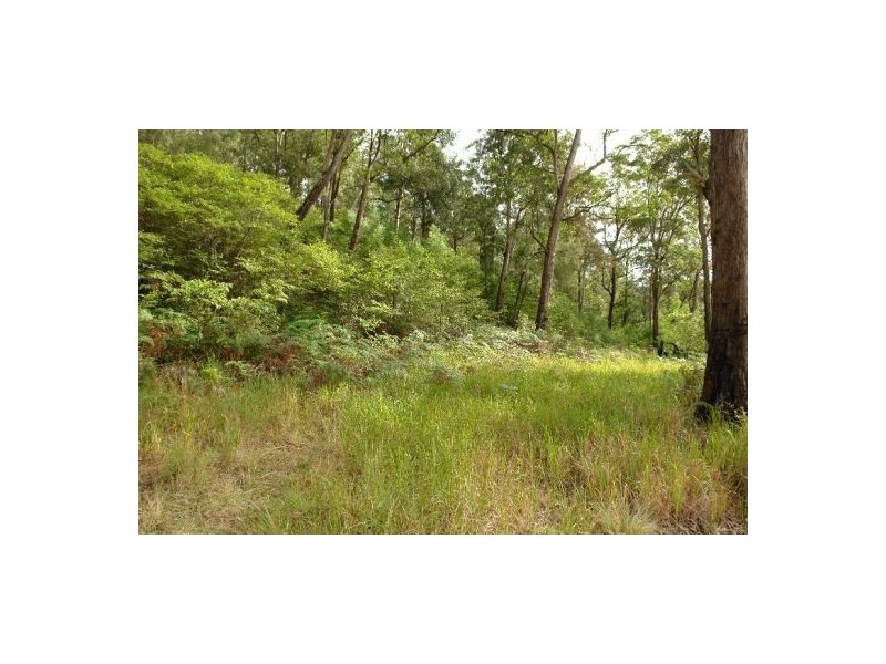 32  Priests Ridge Road, Cedar Brush Creek NSW 2259