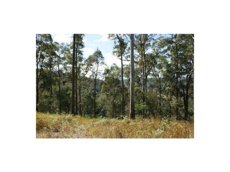 32 Priests Ridge Road, Yarramalong NSW 2259