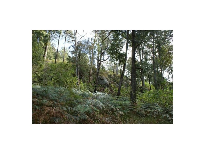 32 Priests Ridge Road, Yarramalong NSW 2259