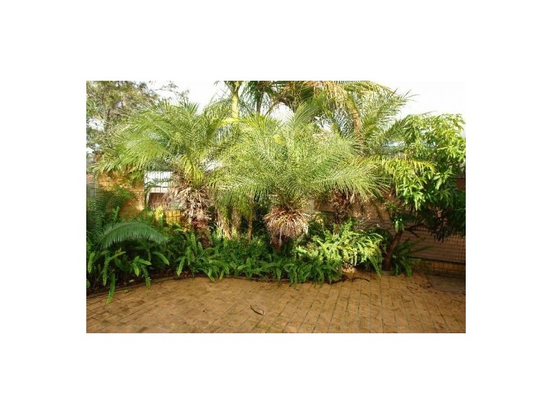 185A Pollock Avenue, Wyong NSW 2259