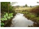 81 Brush Creek Road, Yarramalong NSW 2259