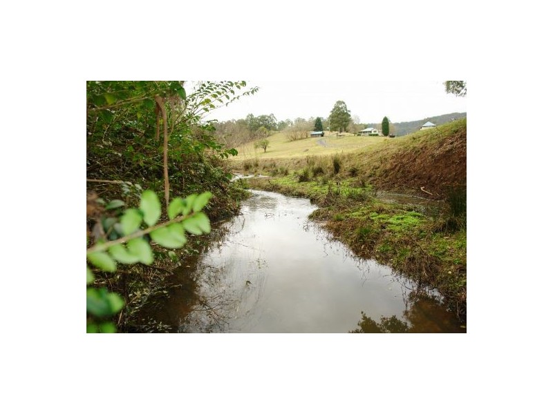 81 Brush Creek Road, Yarramalong NSW 2259