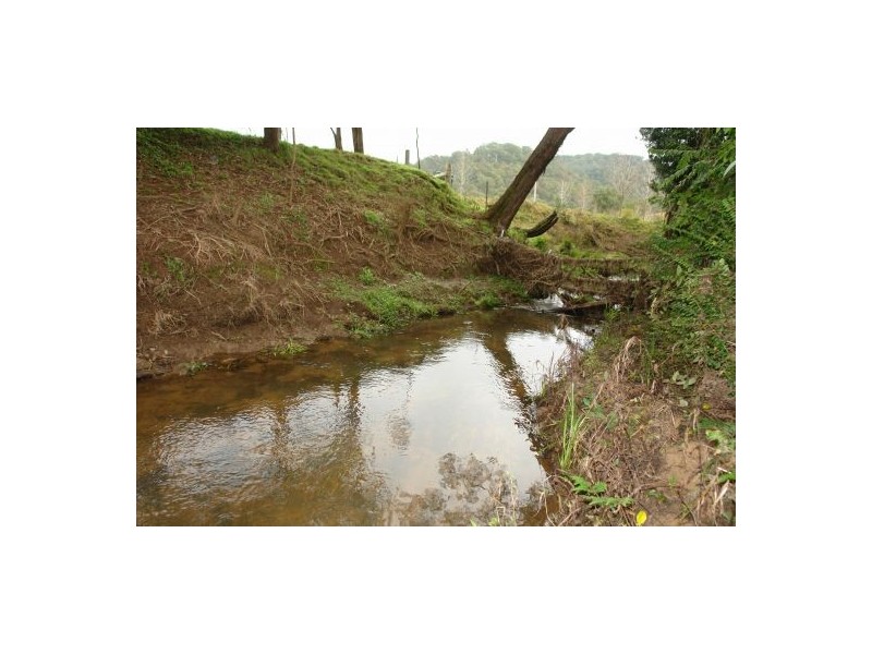 81  Brush Creek Road, Cedar Brush Creek NSW 2259