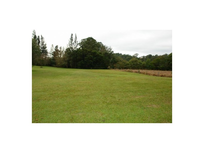 81  Brush Creek Road, Cedar Brush Creek NSW 2259