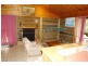 81  Brush Creek Road, Cedar Brush Creek NSW 2259