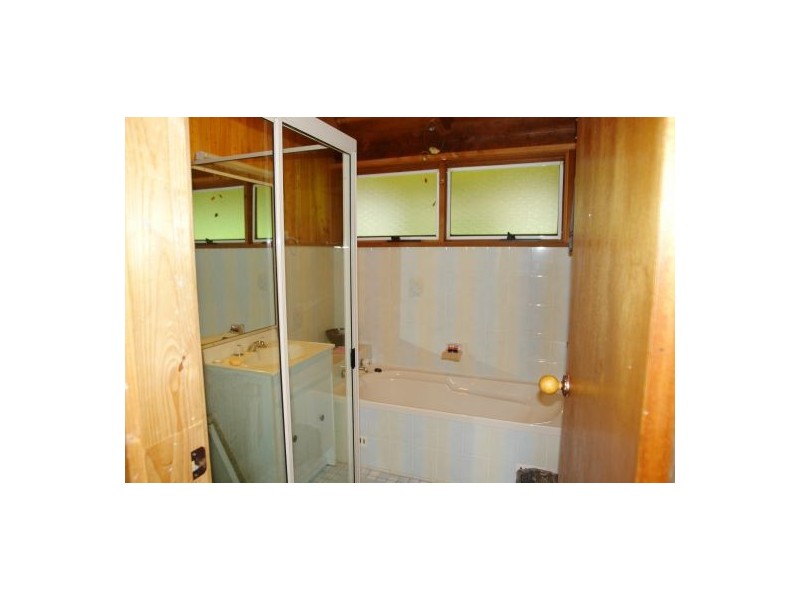 81  Brush Creek Road, Cedar Brush Creek NSW 2259