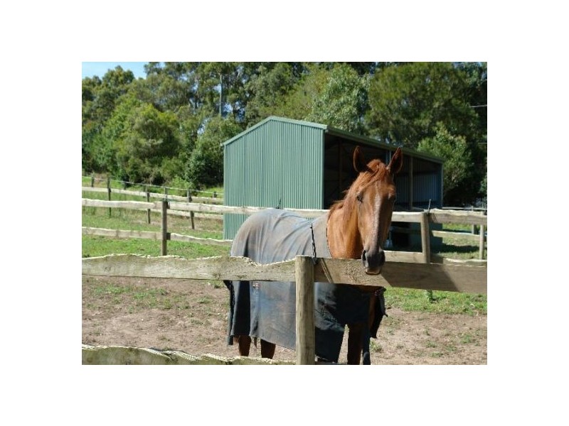 50   Berkeley  Road, Glenning Valley NSW 2261