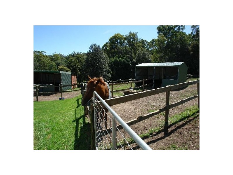 50   Berkeley  Road, Glenning Valley NSW 2261