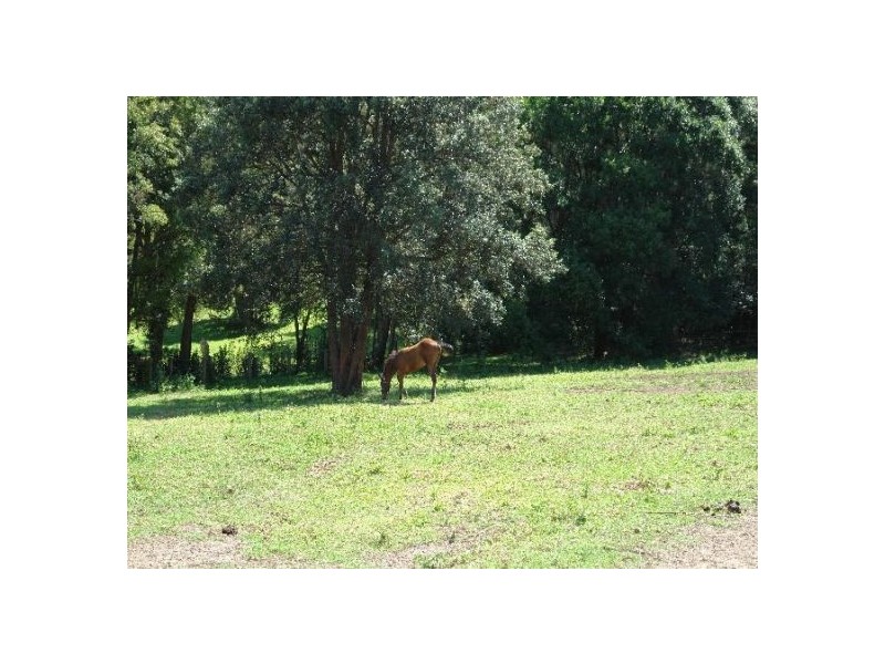 50   Berkeley  Road, Glenning Valley NSW 2261