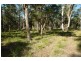 Lot 231 Dickson Road, Dooralong NSW 2259