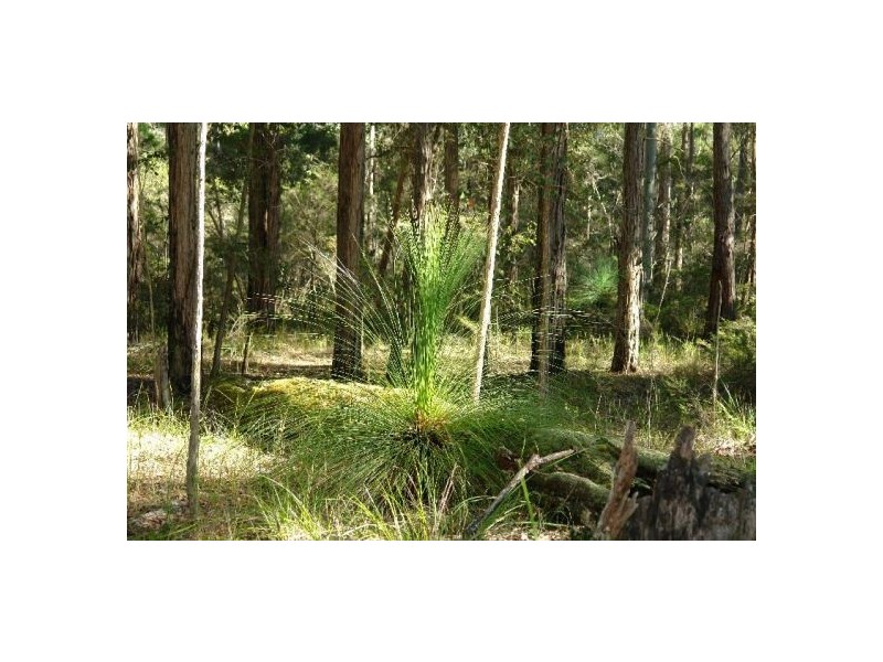 Lot 231 Dickson Road, Dooralong NSW 2259