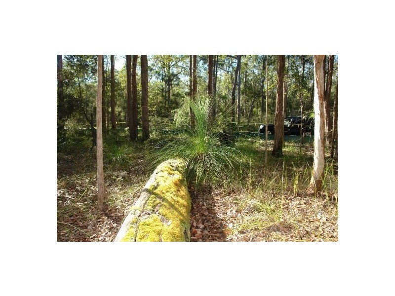 Lot 231 Dickson Road, Dooralong NSW 2259