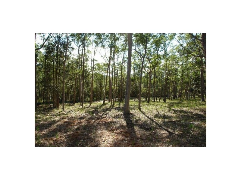Lot 231 Dickson Road,, Dooralong NSW 2259