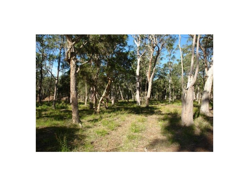 Lot 231 Dickson Road,, Dooralong NSW 2259