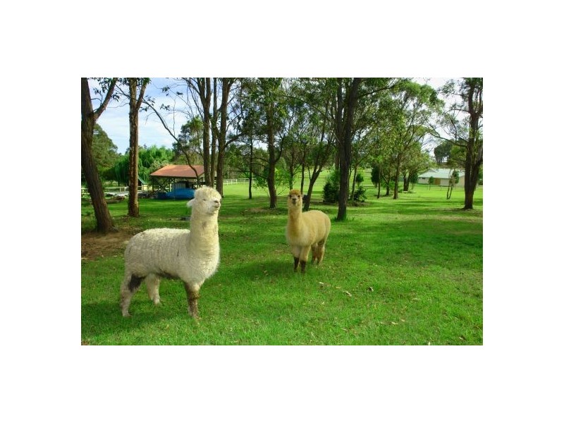 5  Burlington  Avenue, Jilliby NSW 2259