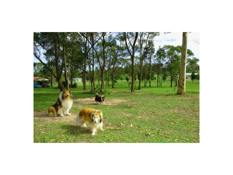 5  Burlington  Avenue, Jilliby NSW 2259