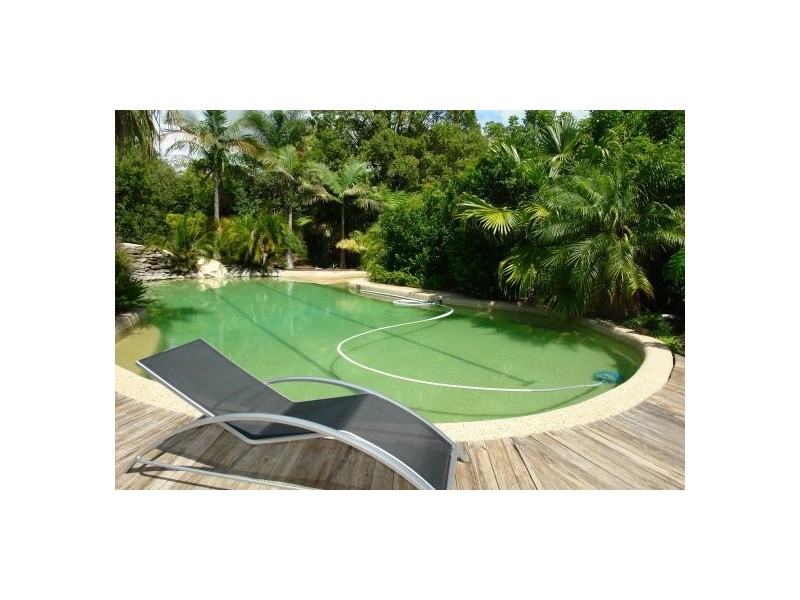 99  Pollock Avenue, Wyong NSW 2259