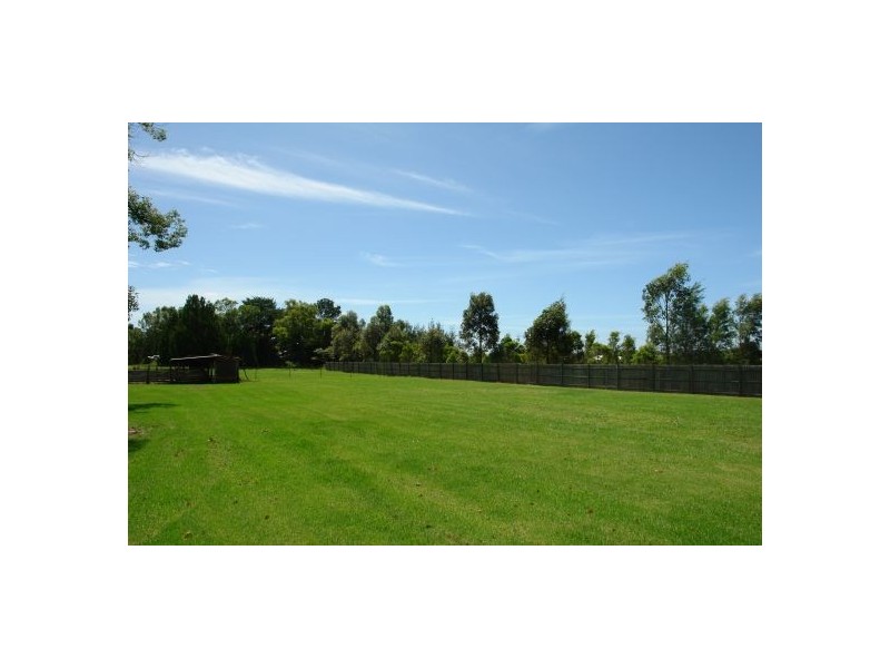 99  Pollock Avenue, Wyong NSW 2259