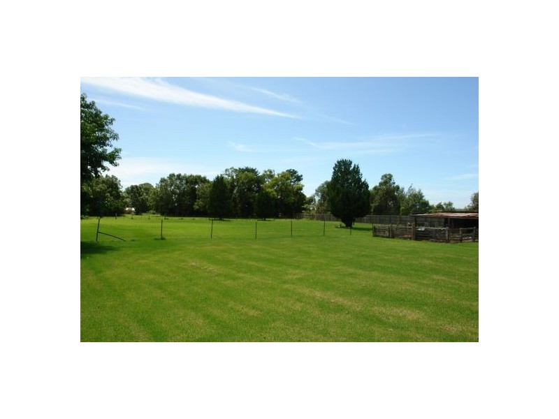 99  Pollock Avenue, Wyong NSW 2259