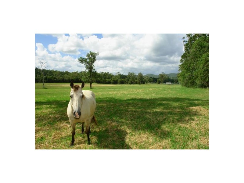 1507 Mandalong Road, Dooralong NSW 2259