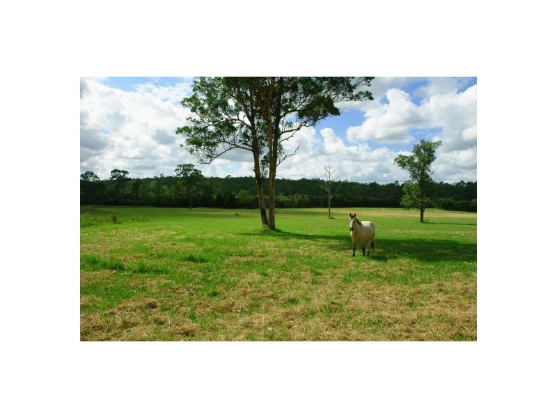 1507 Mandalong Road, Dooralong NSW 2259