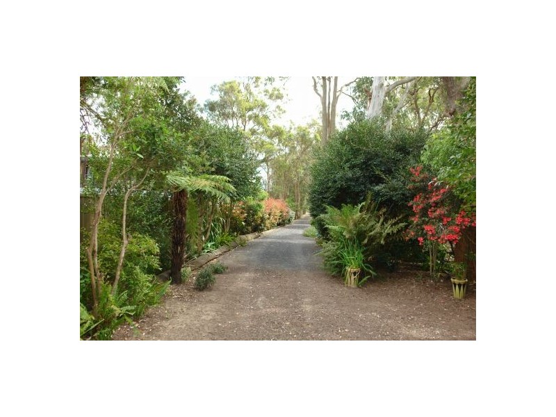 77  McDonagh Road, Tacoma NSW 2259