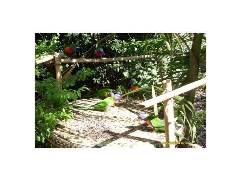 77  McDonagh Road, Tacoma NSW 2259