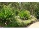 1803 Yarramalong Road, Yarramalong NSW 2259