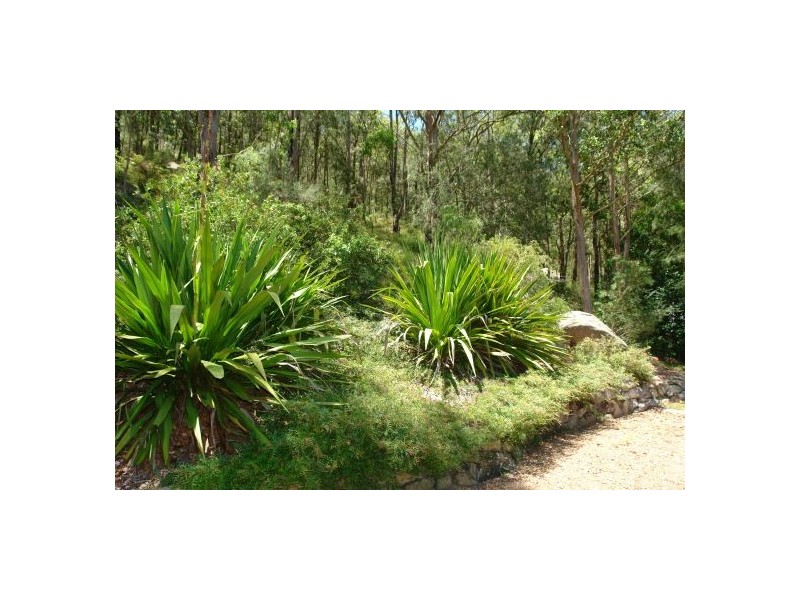 1803 Yarramalong Road, Yarramalong NSW 2259
