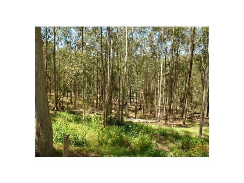 1 little Cobbs Lane, Mardi NSW 2259