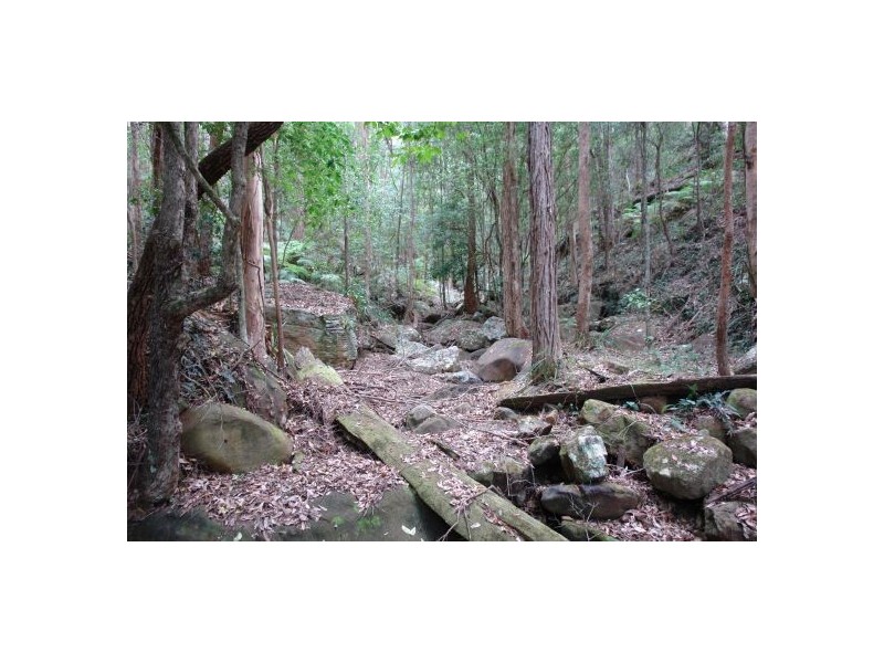 116 Bunning Creek, Yarramalong NSW 2259