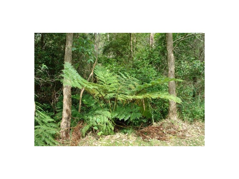 116 Bunning Creek, Yarramalong NSW 2259